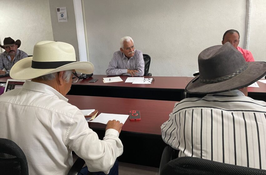  Ven en Michoacán posibilidad de crecer más en industria del mezcal: Sader