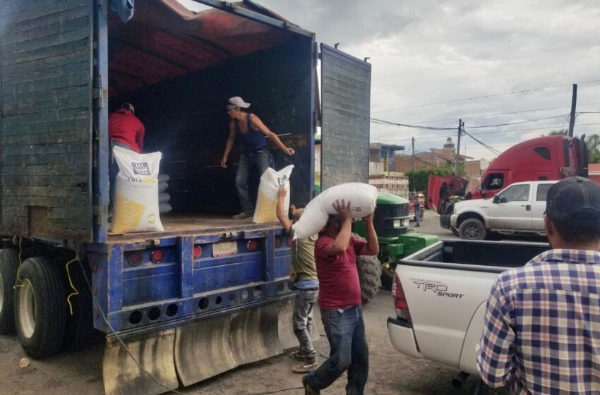  Sader apoya con fertilizante a productores afectados por siniestros