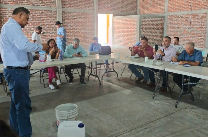  Investiga Sader hongo que afecta cultivos de fresa