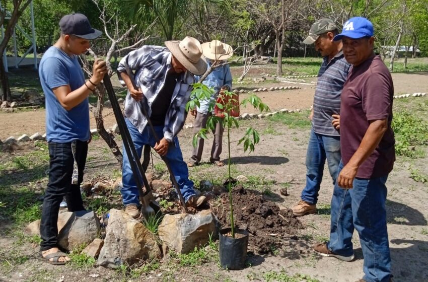  Con plantación de árbol sagrado, Cecytem refrenda compromiso con el medio ambiente
