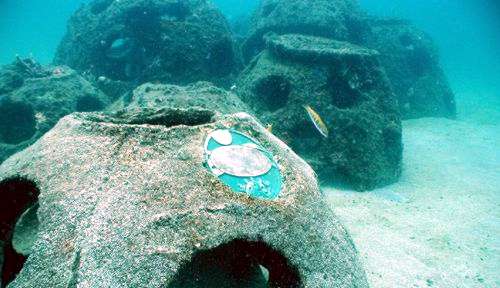  Trazan ruta para colocar arrecifes artificiales en Aquila y Coahuayana