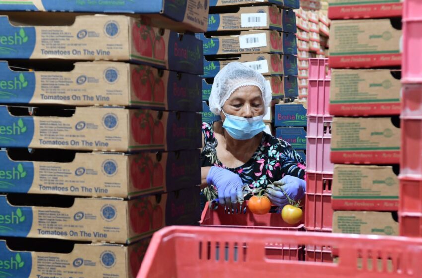  Empresas cumplen con acreditación laboral; van 2 mil 500 registros: Sedeco