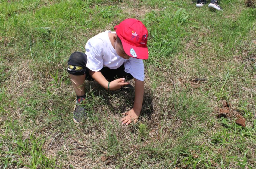  Secma y Sistema Penitenciario siembran conciencia ambiental en infancias