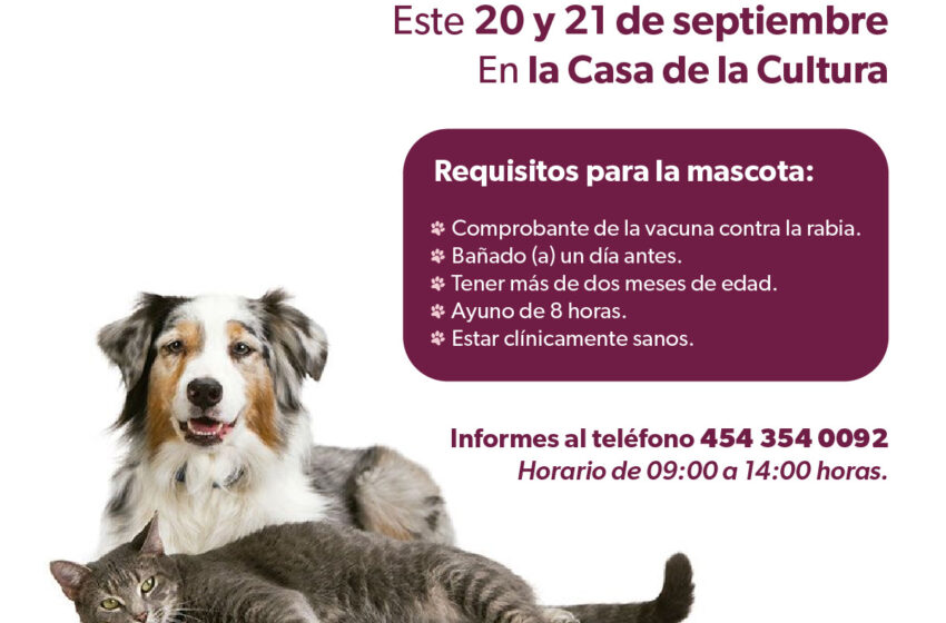  Anuncia SSM jornada de esterilización canina y felina en Quiroga