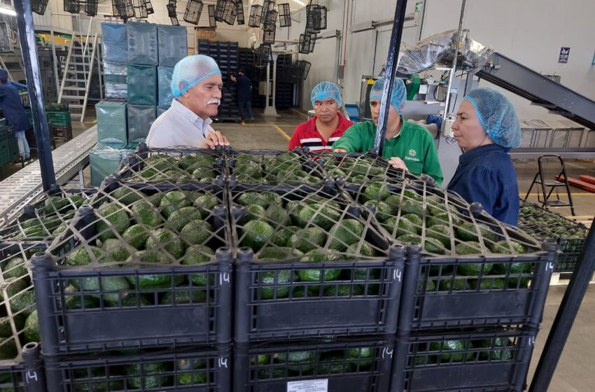 Sader plantea a productores compartir buenas prácticas en cooperativismo