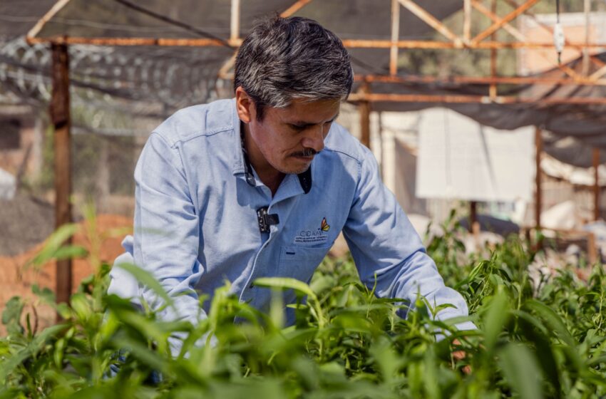  Sader y CIDAM ofrecen descuentos a productores agroalimentarios