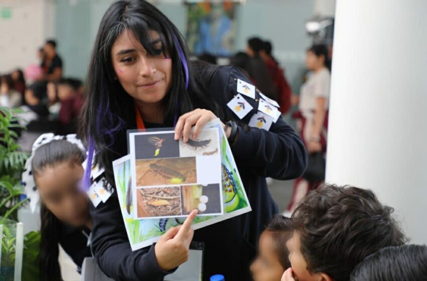  Más de 5 mil estudiantes michoacanos participan en Nacional de Ciencia
