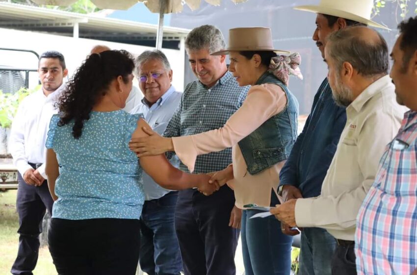  Sader impulsa producción de cacao en Nuevo Urecho