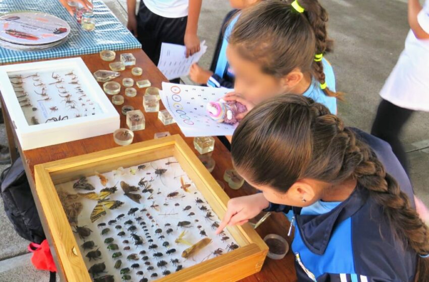  SEE lleva ferias de ciencia a 6 mil alumnos