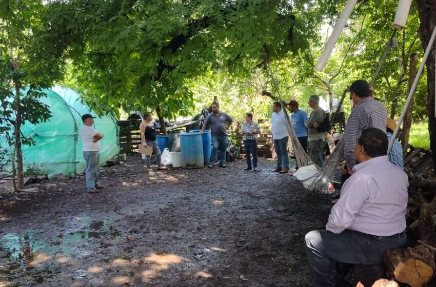  Con Agrosano, Sader capacita a productores en elaboración de fertilizante