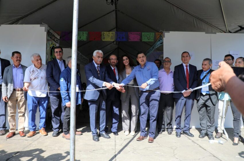  Producción orgánica de alimentos debe armonizarse con el medio ambiente: Sader