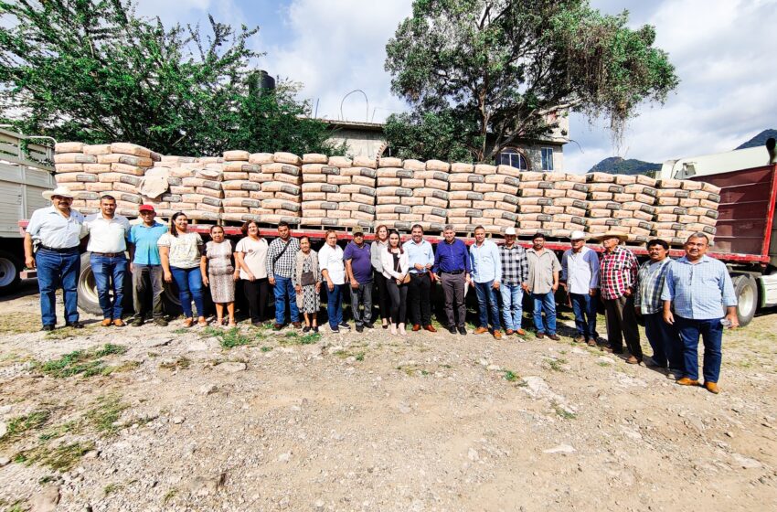  Entrega Sader cemento para revestimiento de canales de riego en Benito Juárez