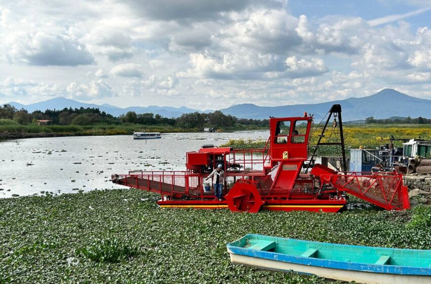  Compesca invierte 11 mdp para limpieza del lago de Pátzcuaro