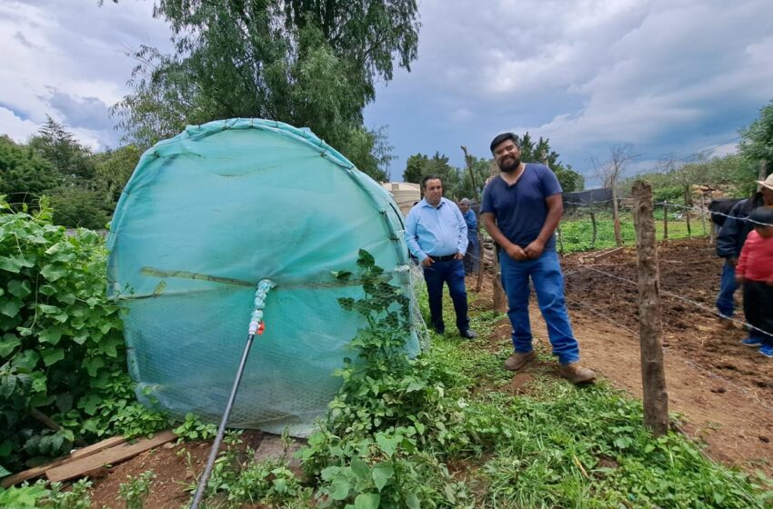  Entrega Sader biodigestores a productores de la región Tepalcatepec