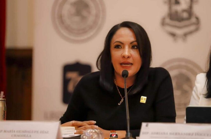  Educación, derecho constitucional que debe ser garantizado: Lupita Díaz Chagolla