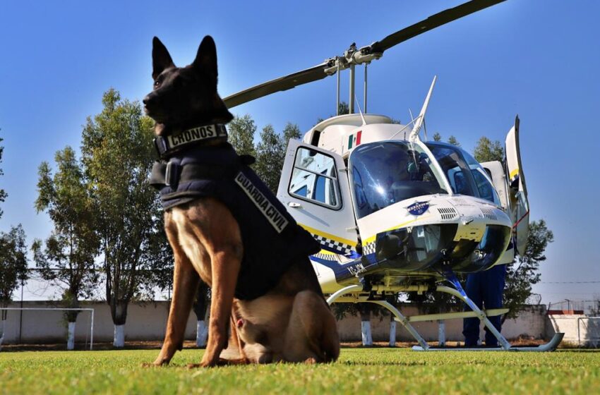  Lleva SSP programa Mi Pequeño Gran Guardia Civil, a alumnos de Santa Ana Amaya