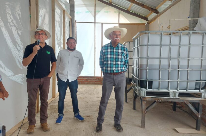 Sader y productores ponen en marcha biofábrica en Cherán