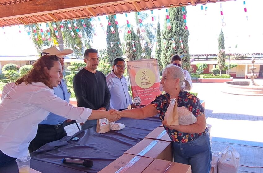 Entrega Sader paquetes para producción de alimentos a 830 familias de la Meseta Purépecha