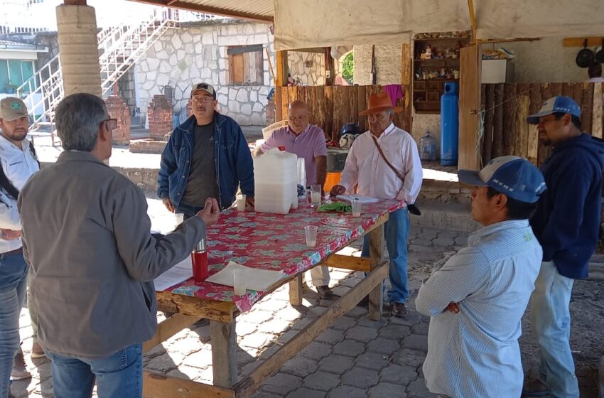  Capacita Sader a productores de espárrago para fortalecer cultivos