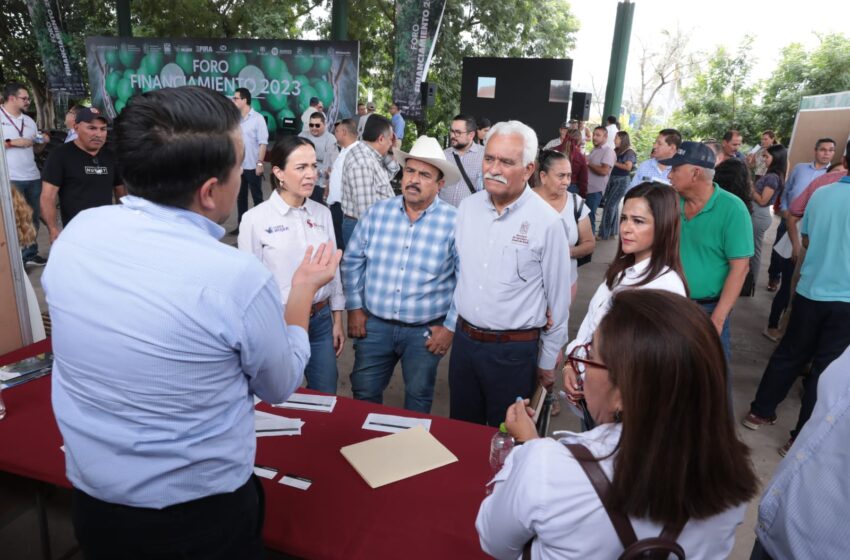 Avanza Michoacán en implementación del Plan de Apoyo al Sector Citrícola