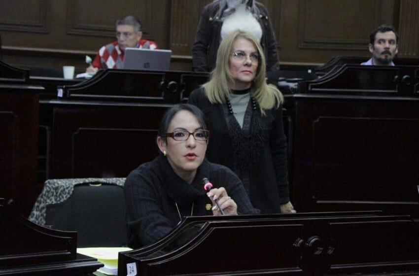 Enfermedades raras y crónico degenerativas ya no serán invisibilizadas: Lupita Díaz