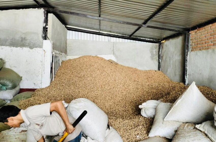 Michoacán destaca en 6 de 10 productos agrícolas más consumidos esta temporada