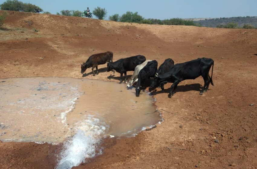  Repararán 100 pequeñas presas para incorporar al riego 3 mil hectáreas de cultivos