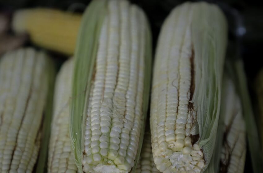  Listos los precios para productos alimentarios básicos para 2024