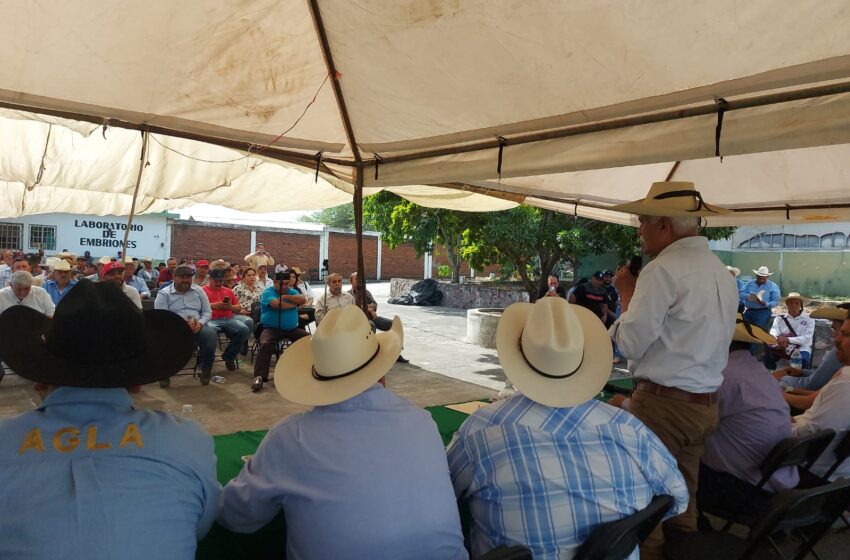  Fortalece Michoacán producción agropecuaria con más recursos para programas sanitarios