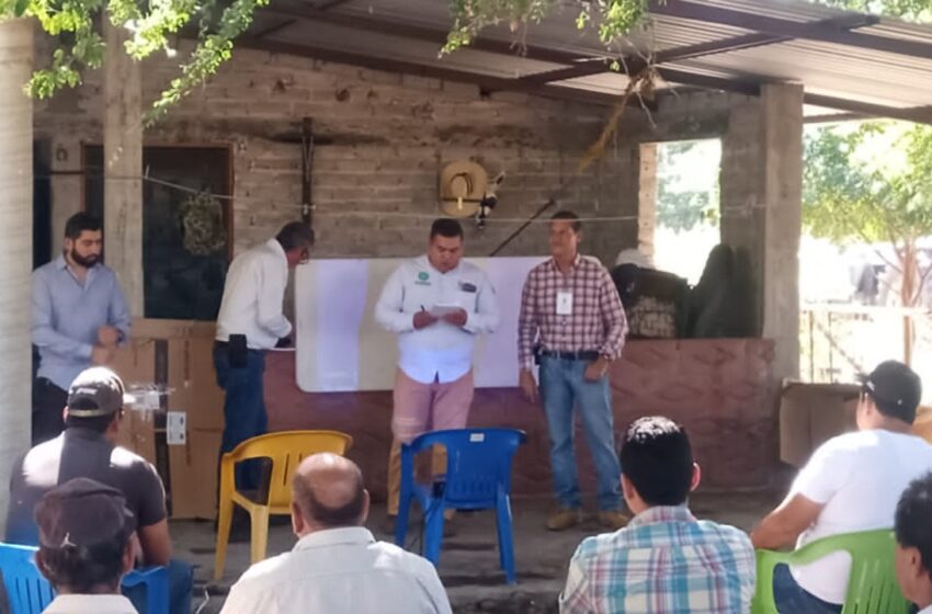  Continúa Sader con la capacitación a productores de cítricos de la Tierra Caliente