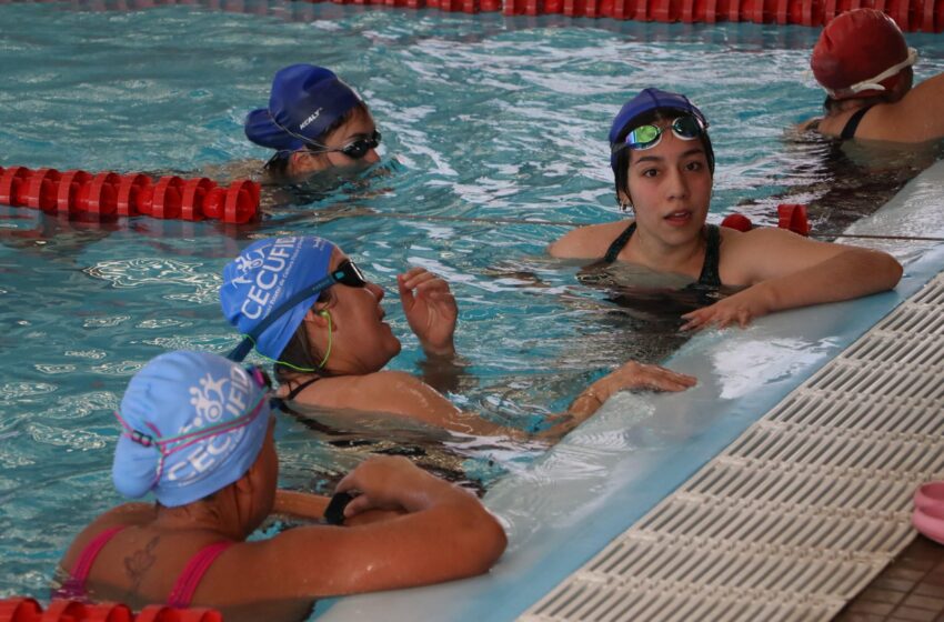  En marcha, curso anual de natación de la Cecufid