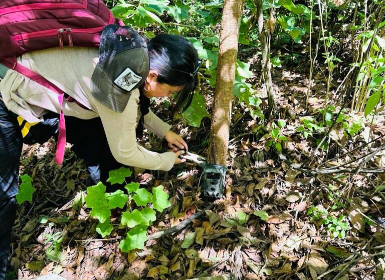  Impulsa Foturmich creación de nuevas Áreas Voluntarias para la Conservación