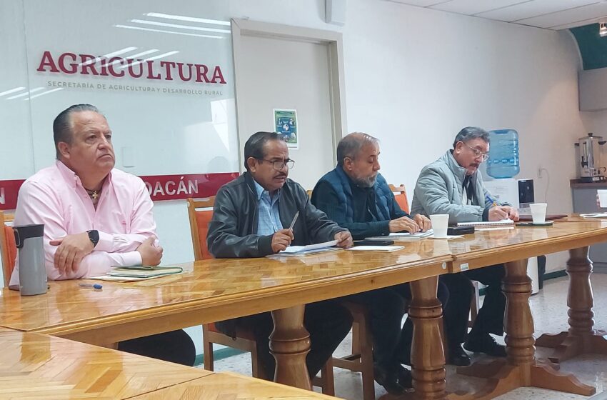 Avanzan productores y autoridades en identificación de ganado en Michoacán