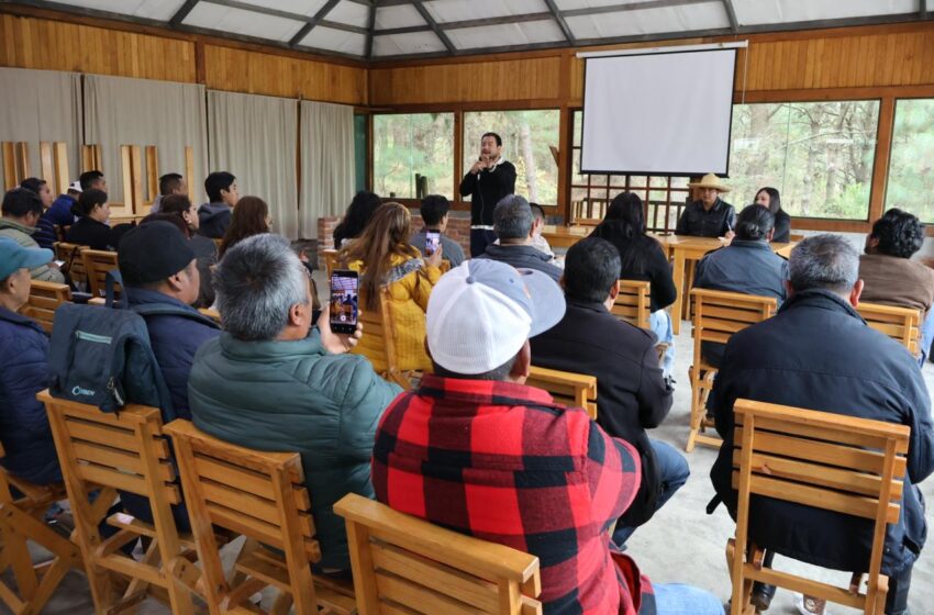  Se construye “segundo piso” de la autonomía en los pueblos originarios: UIIM