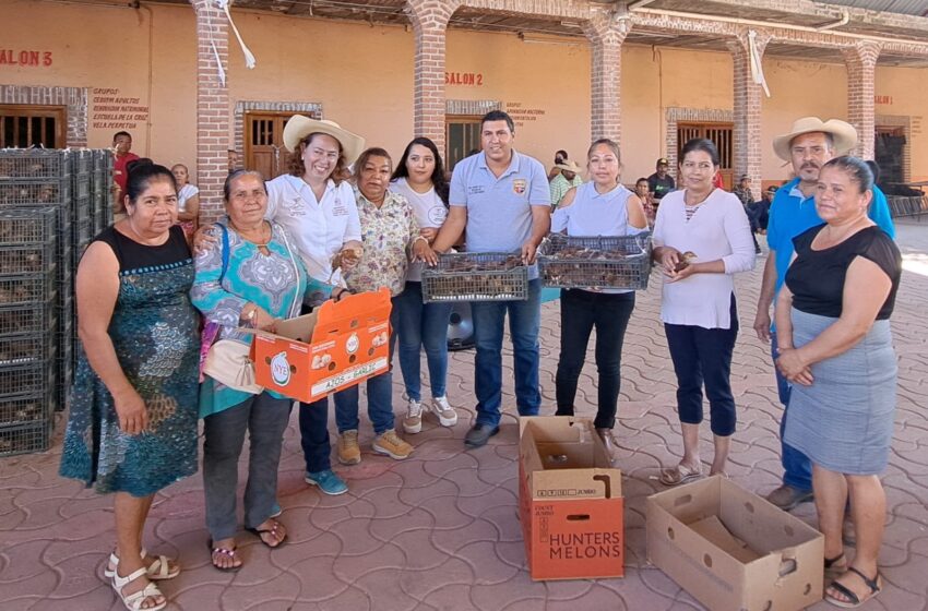  Beneficiadas más de 10 mil familias con alimentos para autoconsumo: Sader
