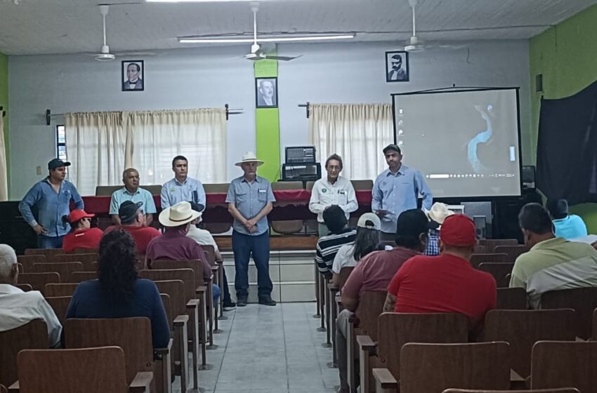  Productores de limón aprenden a mejorar sus suelos y a nutrir sus cultivos