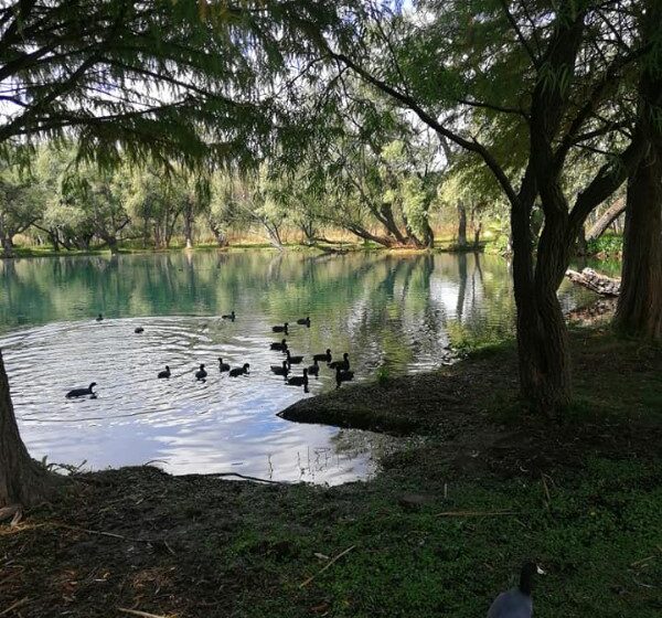  Hoy celebramos el Día Mundial de los Humedales