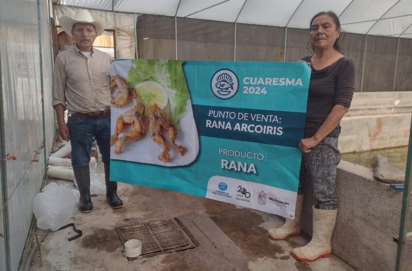 Consume pescados y mariscos frescos para evitar infecciones o intoxicaciones alimentarias