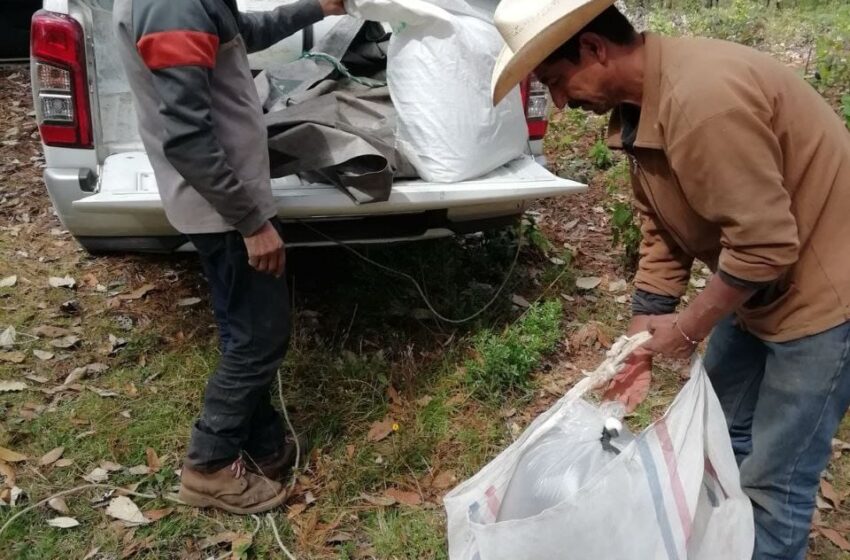  Productores acuícolas pueden realizar traslados de crías de trucha