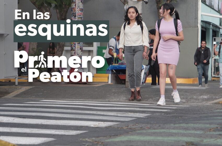  Automovilista, toma precauciones en este regreso a clases, recuerda que el peatón es primero