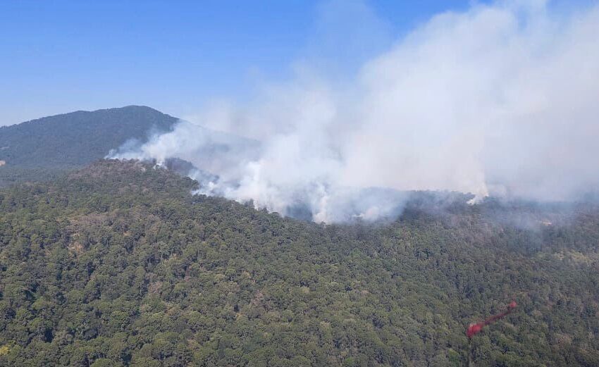  Por aire y tierra combaten incendio forestal en Pátzcuaro-Salvador Escalante