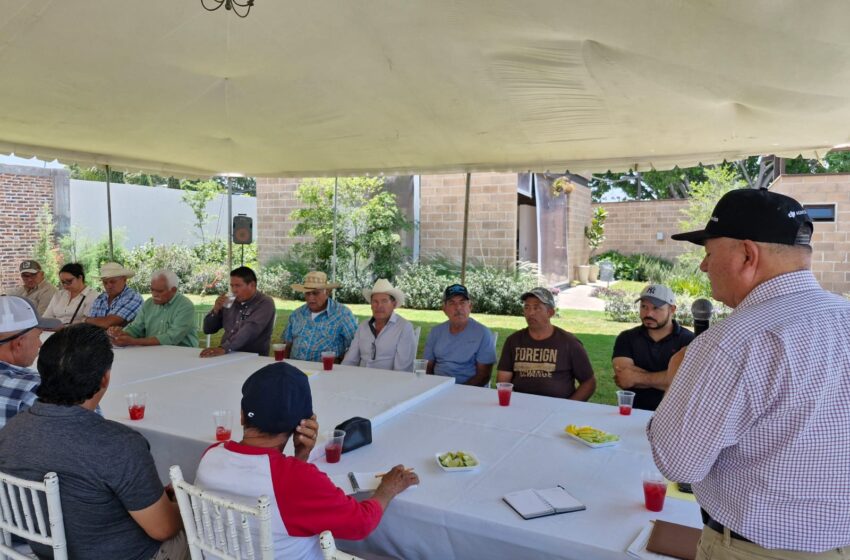  Productores de granos plantean problemática en producción y comercialización de maíz