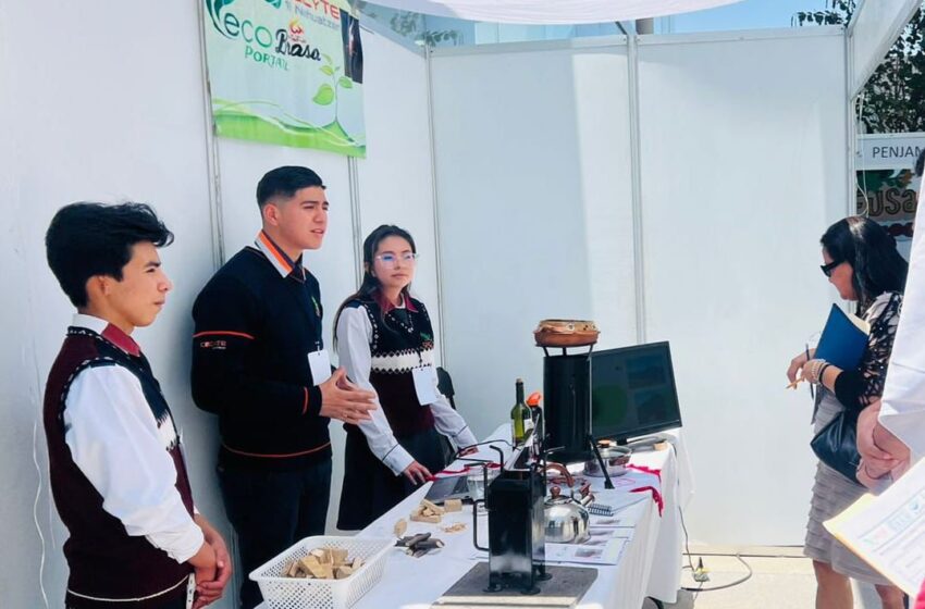  Estudiantes del Cecytem desarrollan estufa ecológica; competirán en encuentro nacional