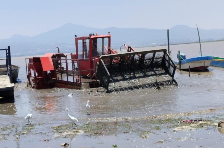  Así avanzan los trabajos para rescatar el Lago de Pátzcuaro