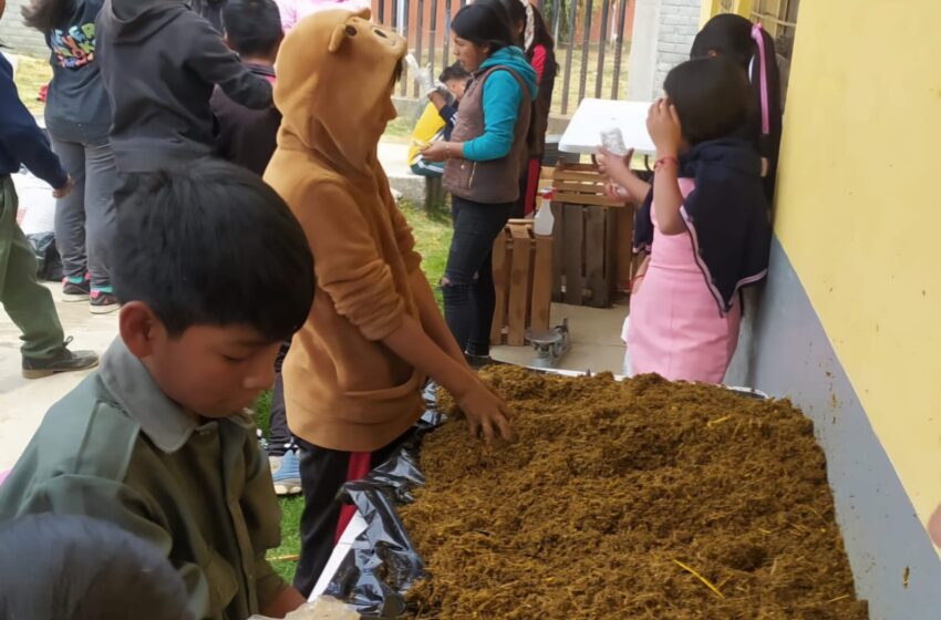  Impulsan en telesecundaria de Nahuatzen producción de hongo seta