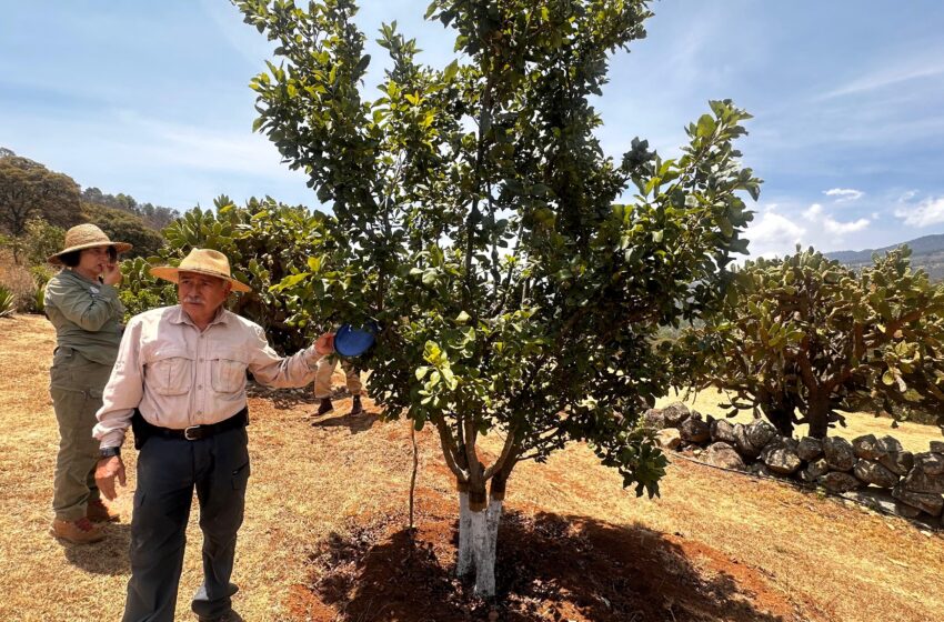  Foturmich busca nuevas experiencias para los visitantes de Rancho Viejo