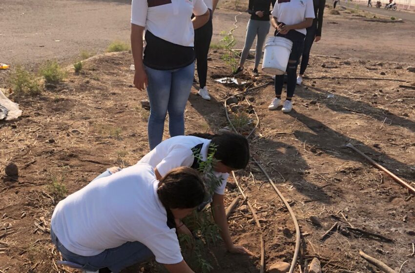  Cecytem, aliado en el cuidado del medio ambiente