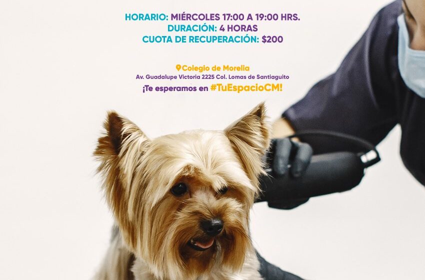  Colegio de Morelia abre talleres para el Bienestar Animal