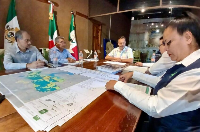  Sedum impulsa participación ciudadana en programas para desarrollo urbano de Pátzcuaro