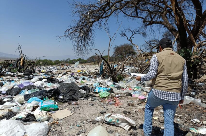  Proam ha recibido más de 50 denuncias ambientales